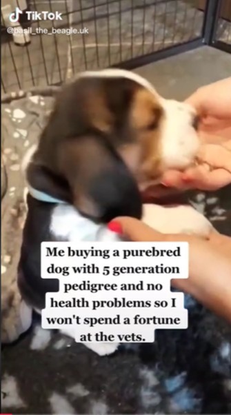 The owner bought the pup with no idea about costs to come