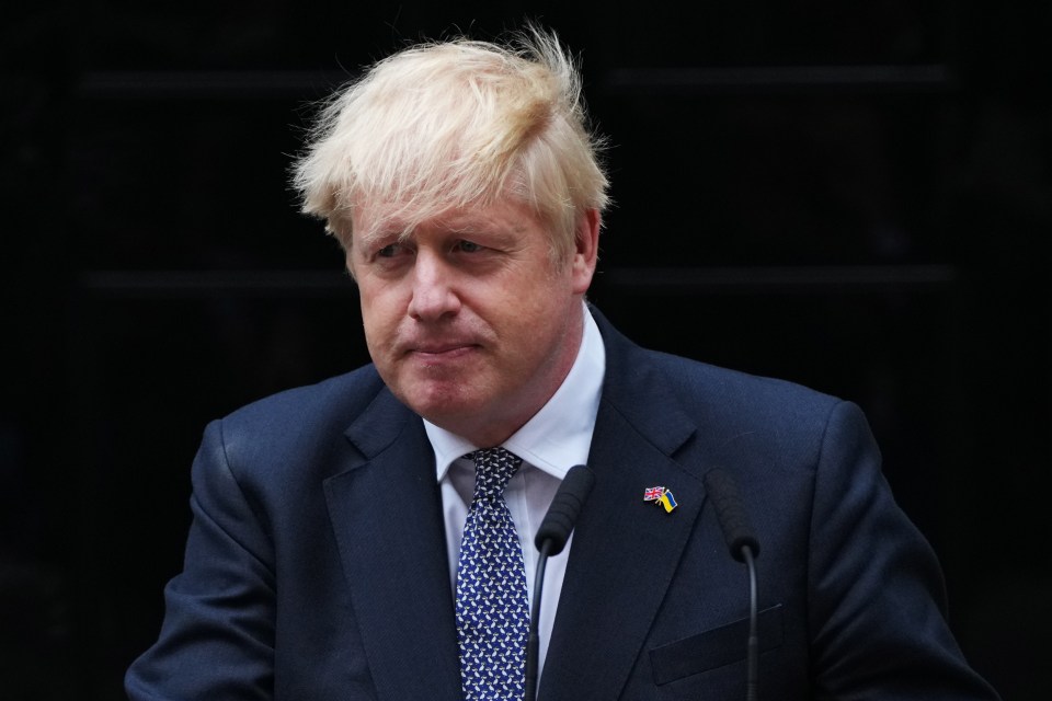 Boris Johnson condemned Mayor Sadiq Khan’s 'mad lefty tax' on London’s drivers