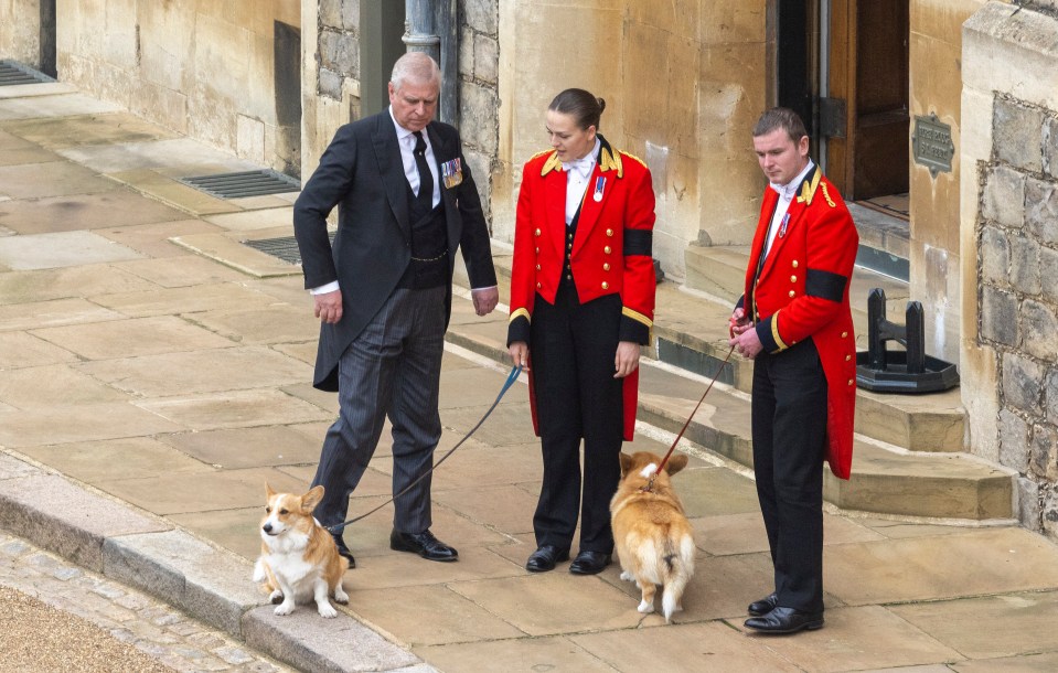 Andrew with the Queen’s corgis Muick and Sandy