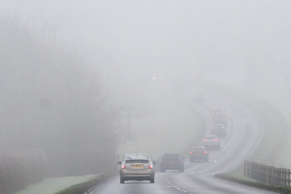 Drivers in Windsor Great Park battle a cold and foggy morning