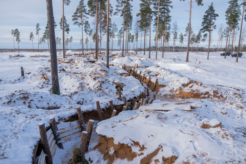 The war games inside the snaking trenches involved troops from Estonia, Britain, France, Denmark and the US