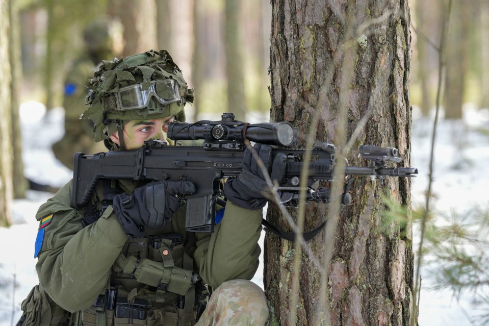 Soldiers from the 'Iron Wolf' battalion on exercise