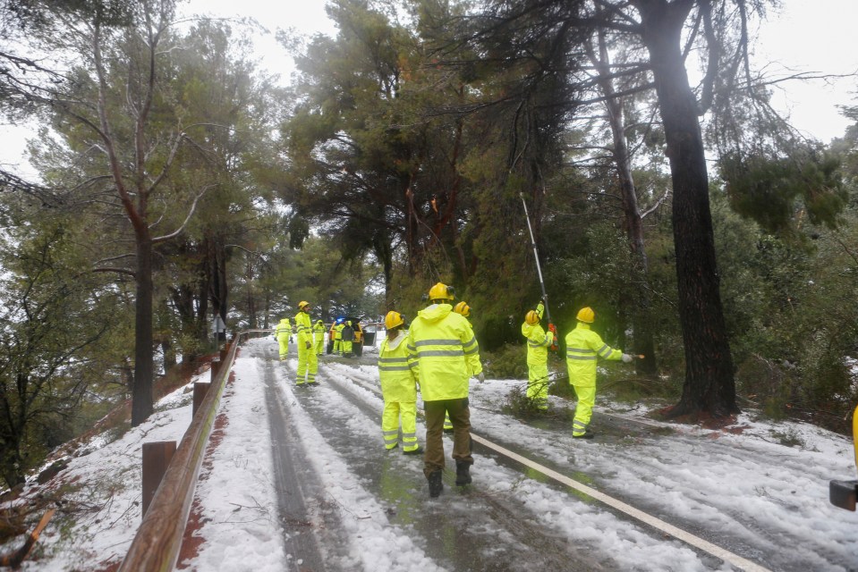 Workers have been clearing roads to help conditions