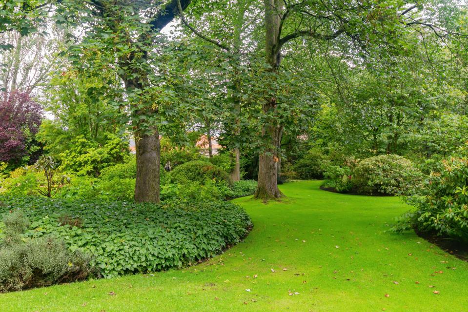 Holyroodhouse's stunning garden is open to the public all year round