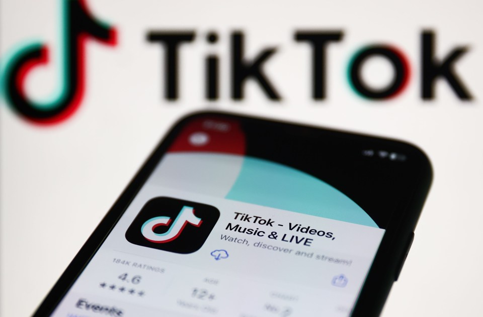 Anything you do on TikTok — what you see, like, post, share — will go straight back to Shanghai where all the tech spying is done