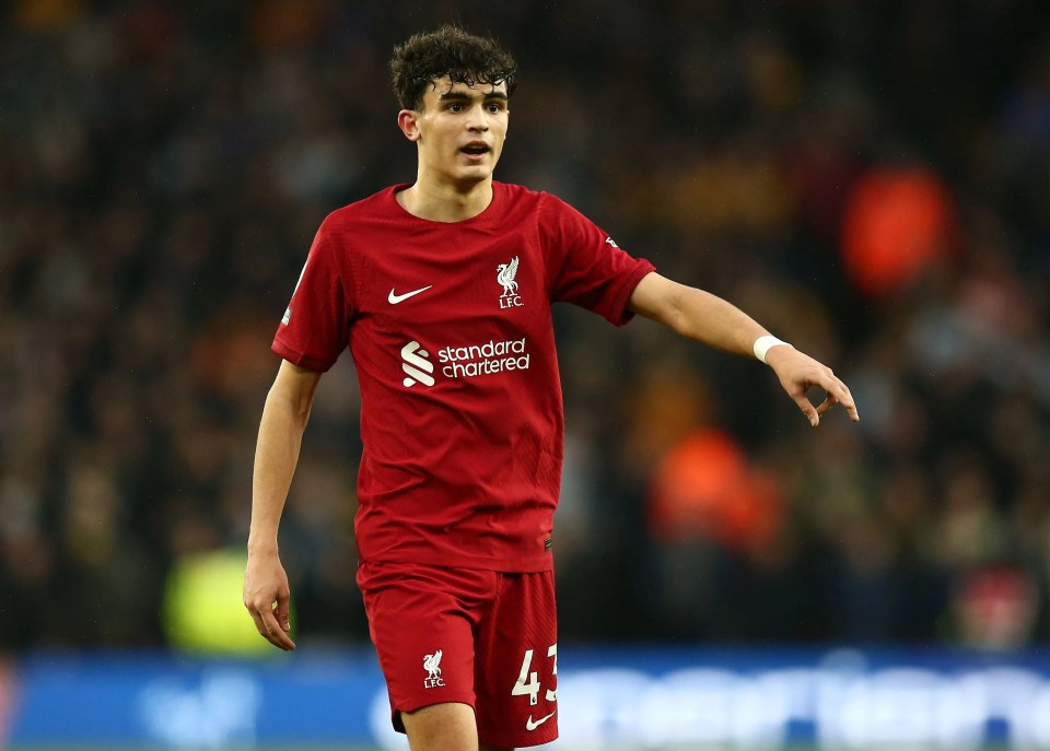 Bajcetic has caught the eye for Liverpool since breaking into the first-team