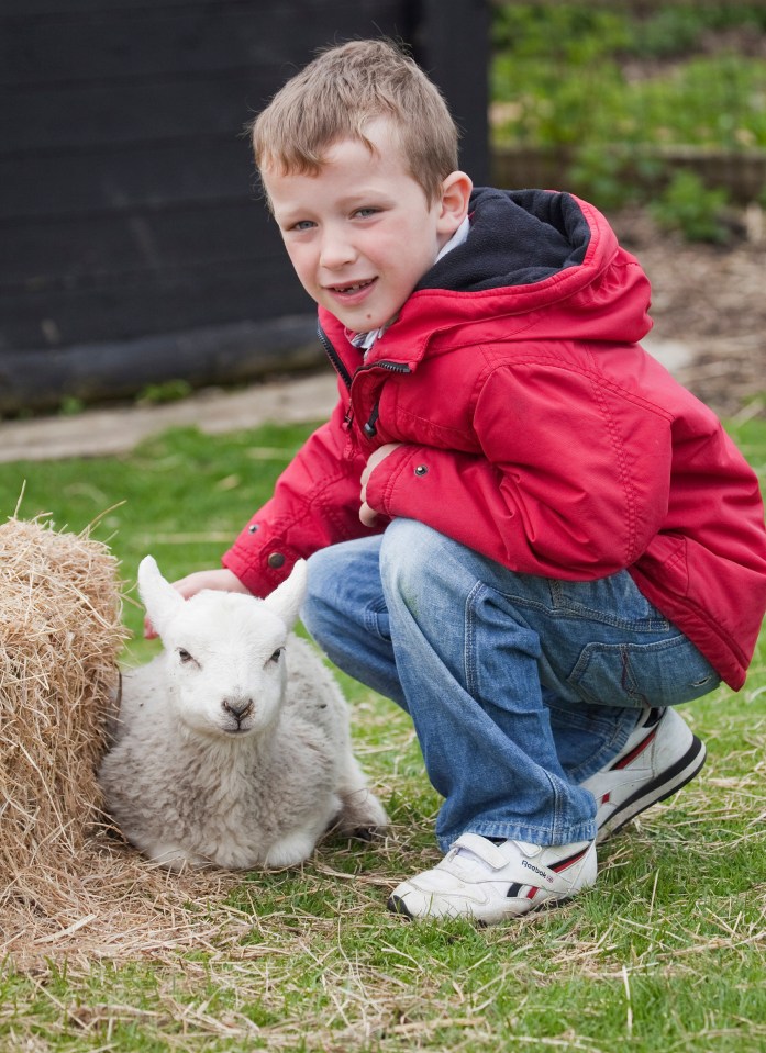 Lambing season is coming so check out the spring frolics at your local city or rural farm