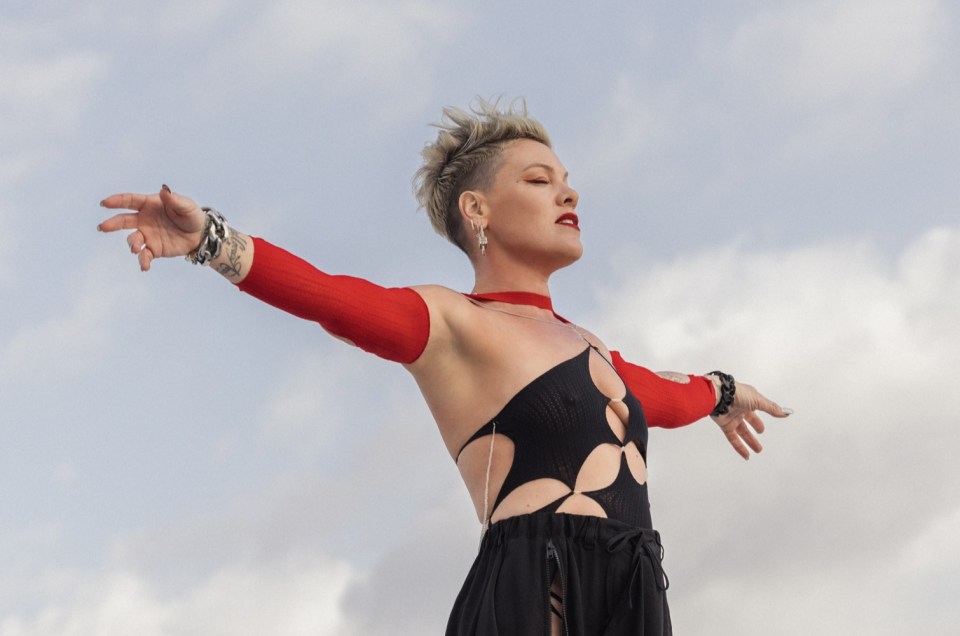 'The act of living requires a lot of trust these days' says Pink, explaining the name of her new album - Trustfall