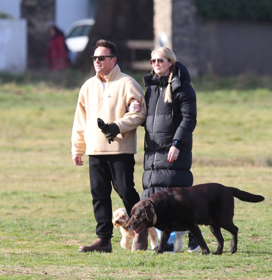 Ant McPartlin played fetch in a London park today while out with wife Anne-Marie Corbett