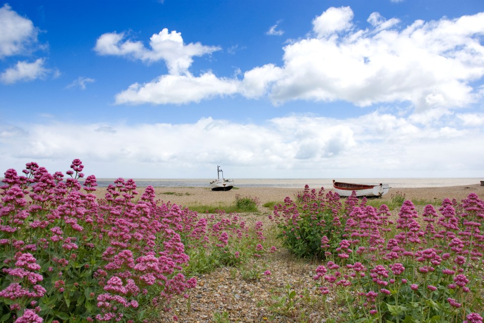 Boats on the beach in Aldeburgh, Suffolk