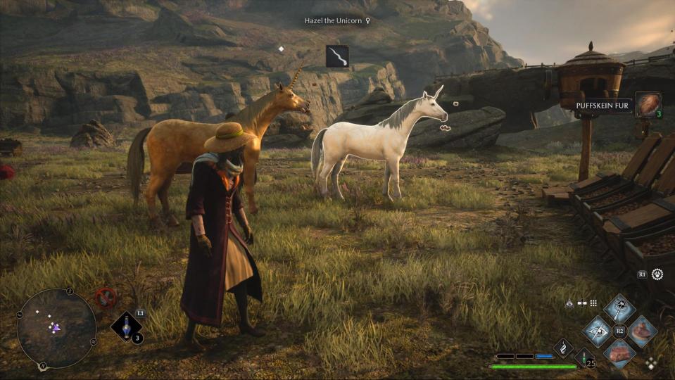 Hogwarts Legacy allows you to build your own bestiary full of magical beasts