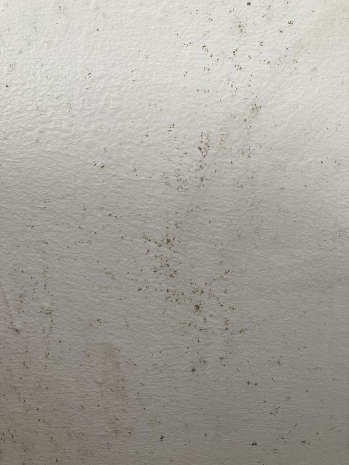 BEFORE: There were some stubborn mould spores on my bathroom wall