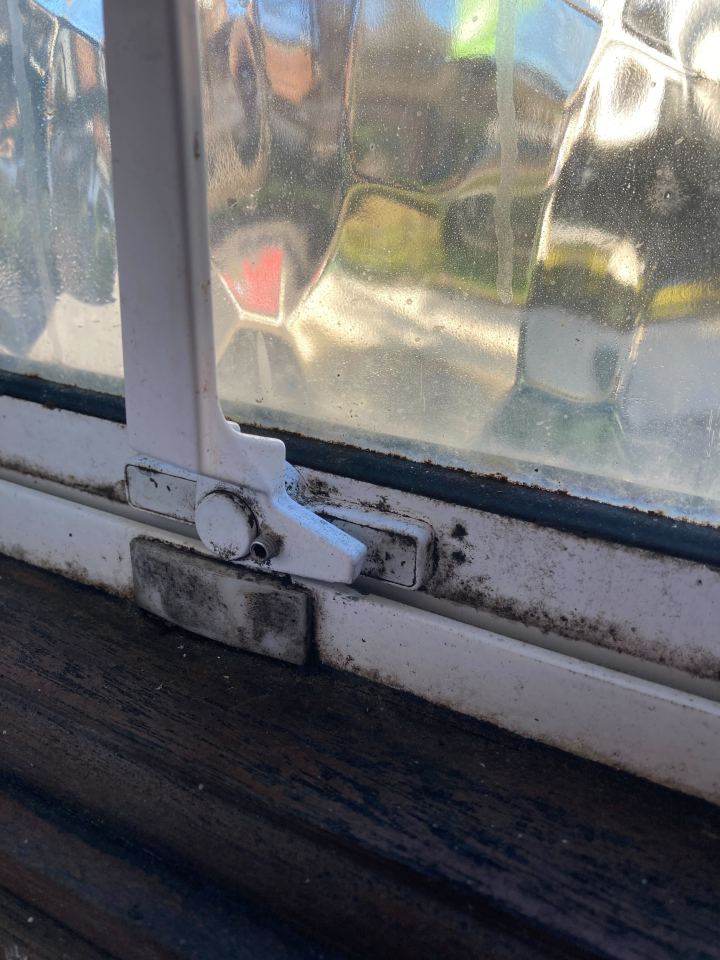 BEFORE: My mouldy window needed some TLC