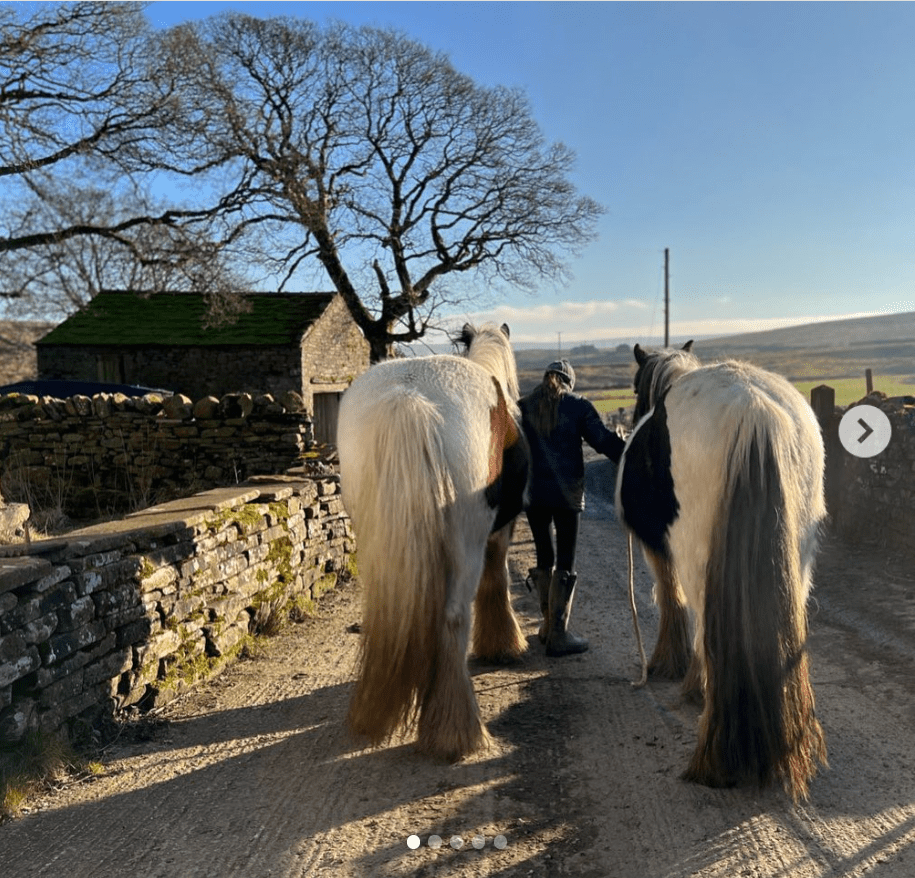 In one of the snaps Amanda's youngest daughter can be seen walking with two horses