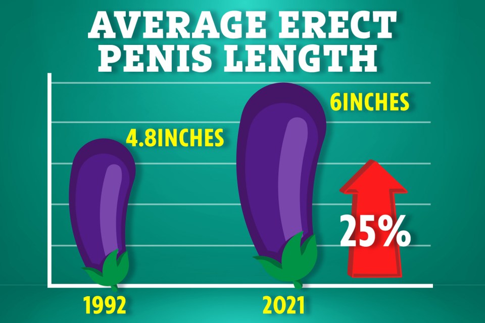 The average erect penis length has changed over the past 30 years