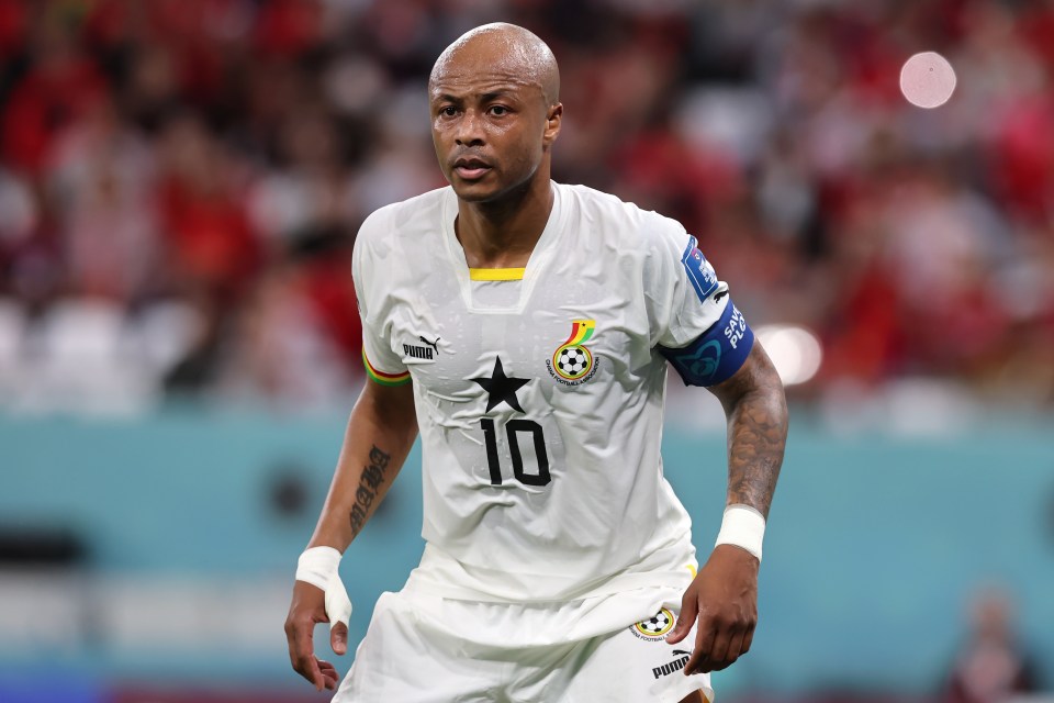 Ghana star Andre Ayew has experience playing in the Premier League