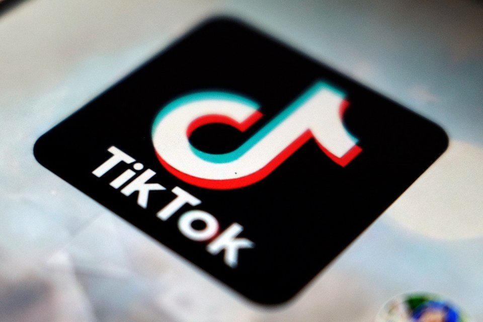 A spokesperson for TikTok said the platform was 'taking action' against harmful content