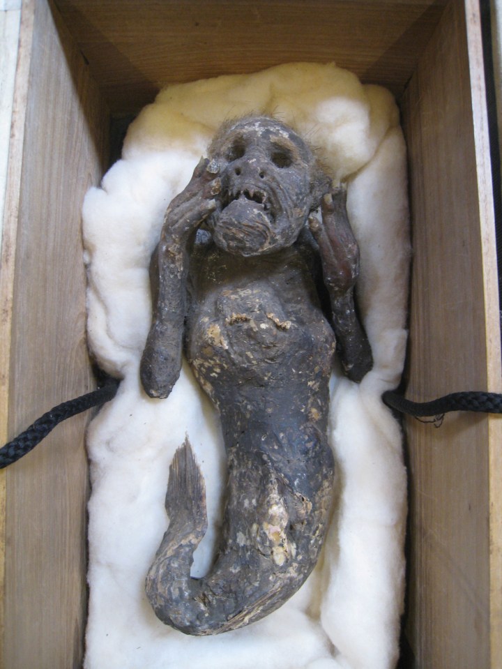 The mystery behind the mummified ‘mermaid’ has been revealed