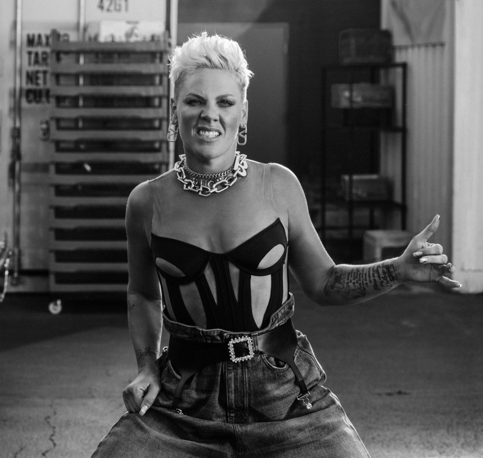 Talking of Trustfall, Pink, real name Alecia Moore, says 'my ninth album, is also a nice two fingers for all the haters that think I don’t matter'