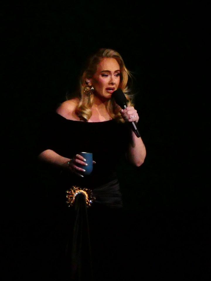 Adele broke down in tears on stage during her Las Vegas show