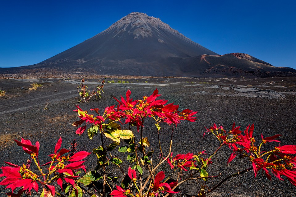 Fogo is a volcanic island with scenery that looks like it could be the moon