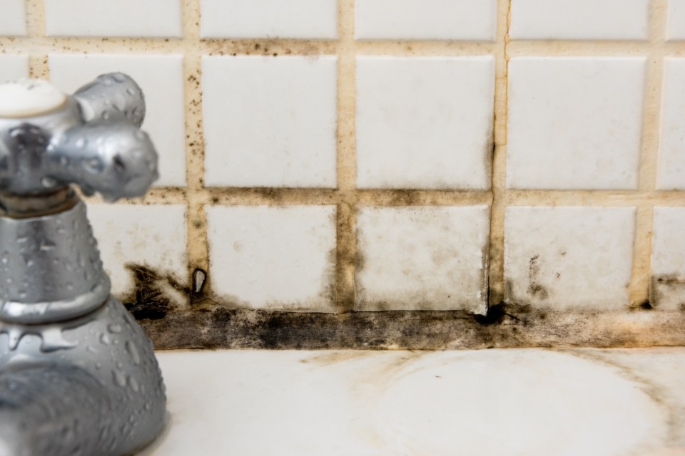 A £5 fix can help you to you rid your bathroom of mould for good