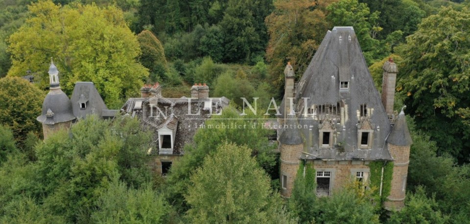 An aerial picture of the luxury home