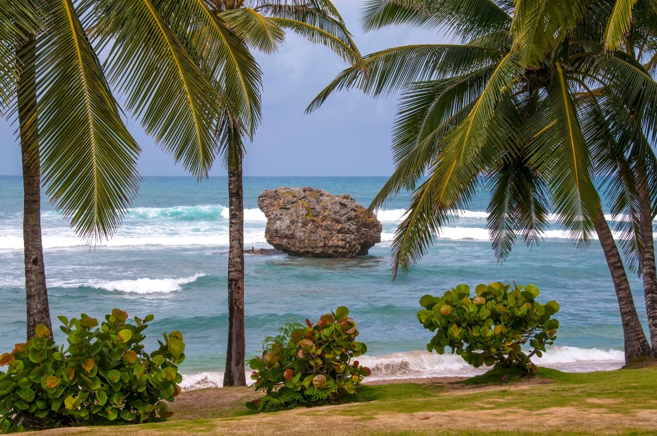 a large rock in the ocean surrounded by palm trees