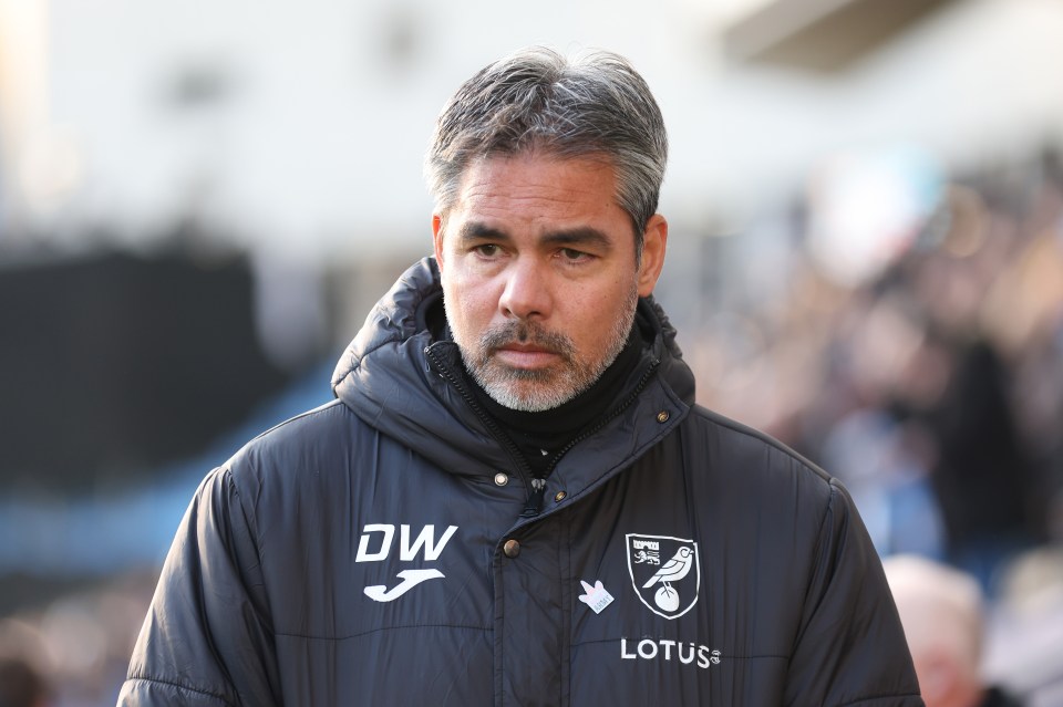 Norwich hired David Wagner to try and boost their promotion chances