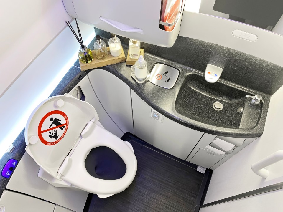 Some airplane bathrooms are luxurious, but most have issues with cleanliness