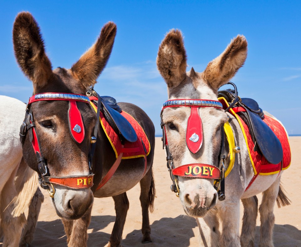 Skegness also has traditional activities like donkey rides