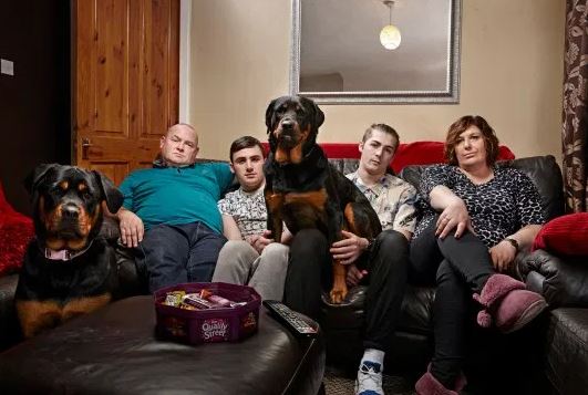 Gogglebox stars The Malones share their home with their brood of dogs