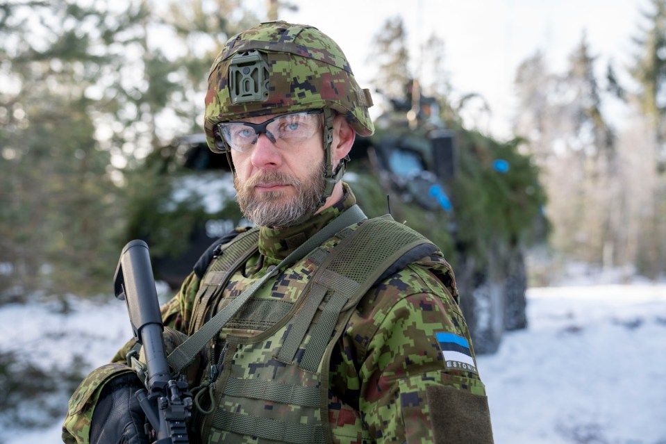 Colonel Andrus Merilo is the commander of Estonian forces in the Nato war games