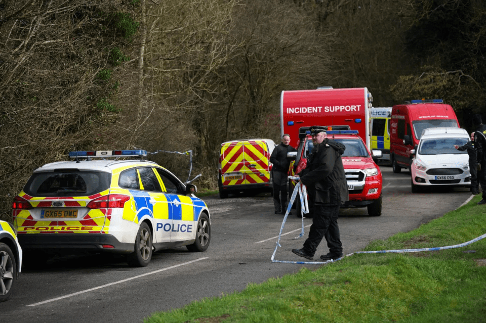 Police in Caterham, Surrey, where Natasha Johnston was killed this month