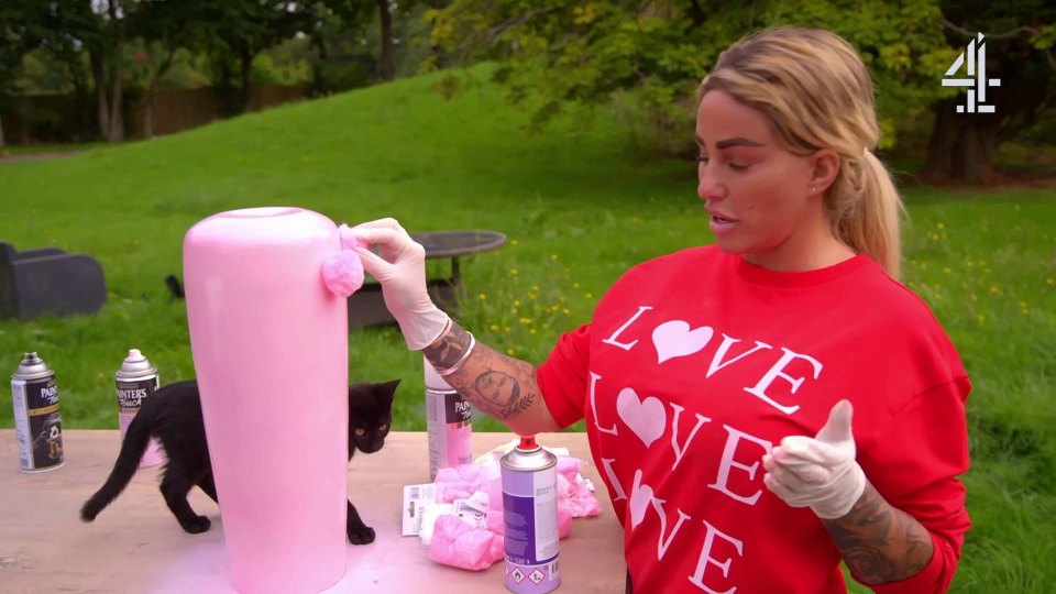 Katie Price seemingly revealed her new pet cat in a scene in My Mucky Mansion