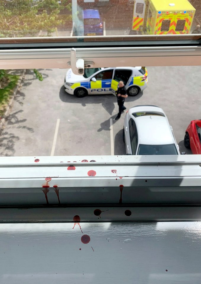 Blood on the windowsill at one incident police were called to involving Kiena