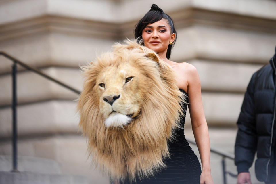 Kylie Jenner wore a lion on her dress