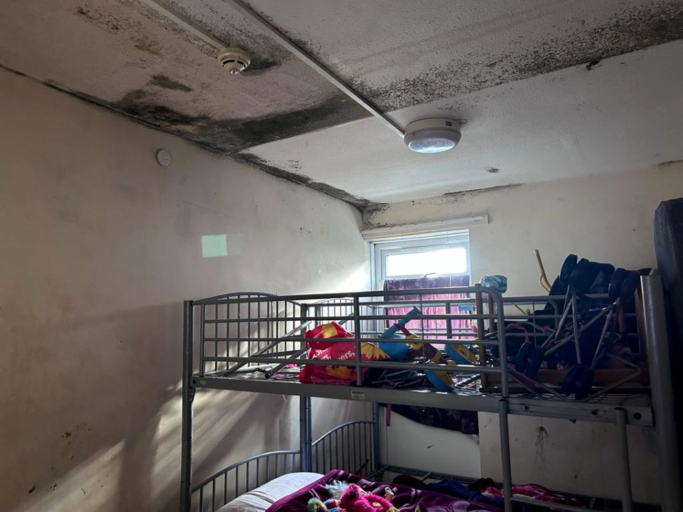 The ceilings in both rooms of her flat are covered in mould