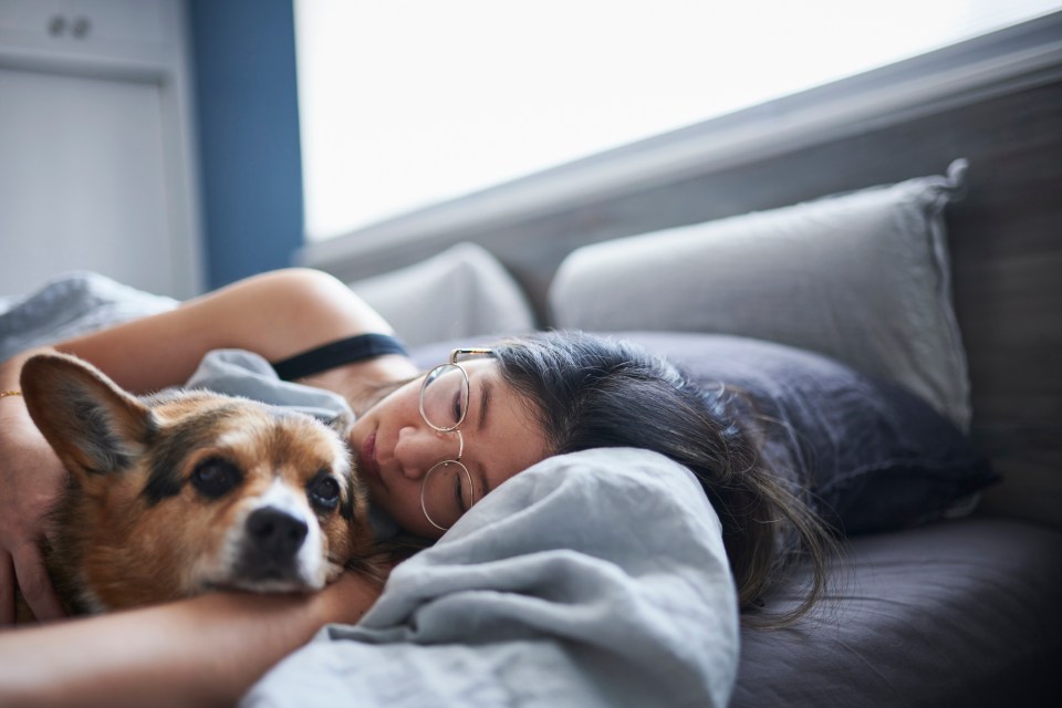 Dog owners have been warned not to share their bed with their pups