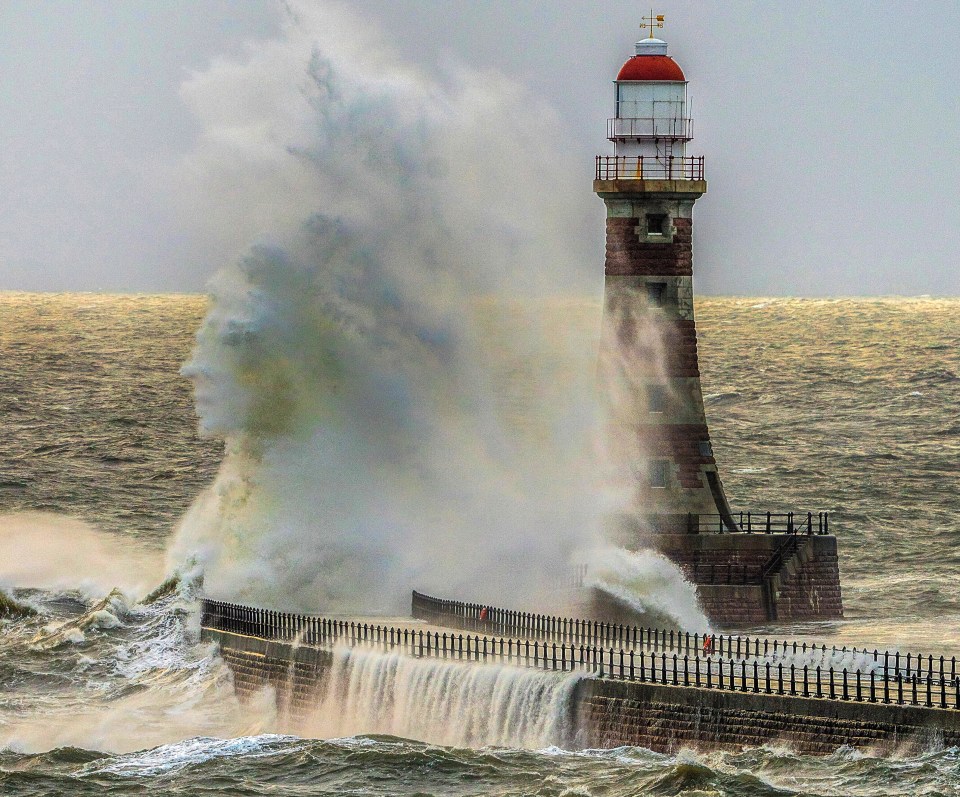 Ian Sproat captured the uncanny royal image in Sunderland