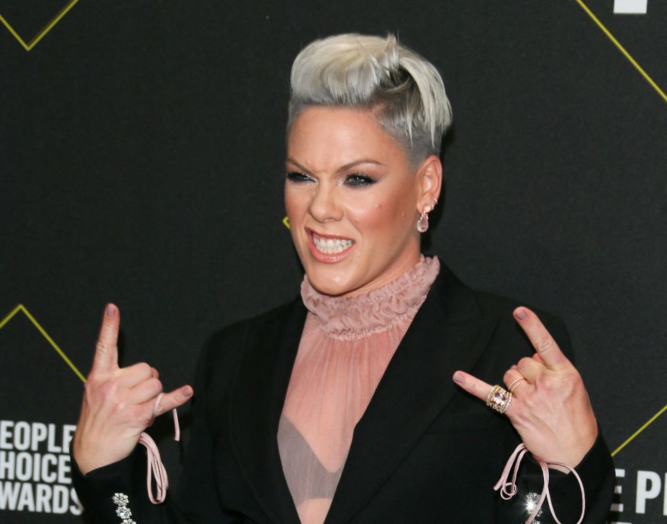 Pink's Summer Carnival tour calls in to the UK in June, with gigs at the University of Bolton Stadium, Sunderland’s Stadium of Light, Birmingham’s Villa Park and London’s Hyde Park