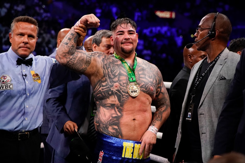 Andy Ruiz Jr was on course for a huge clash with Deontay Wilder