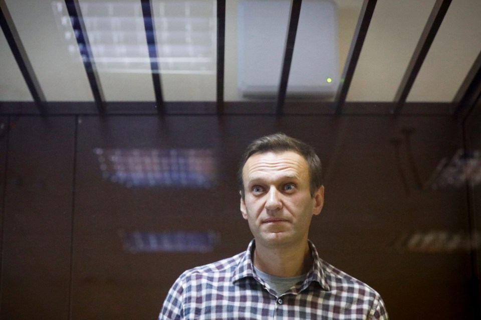 Grozev helped to reveal the plot to kill Putin critic Alexei Navalny (pictured)