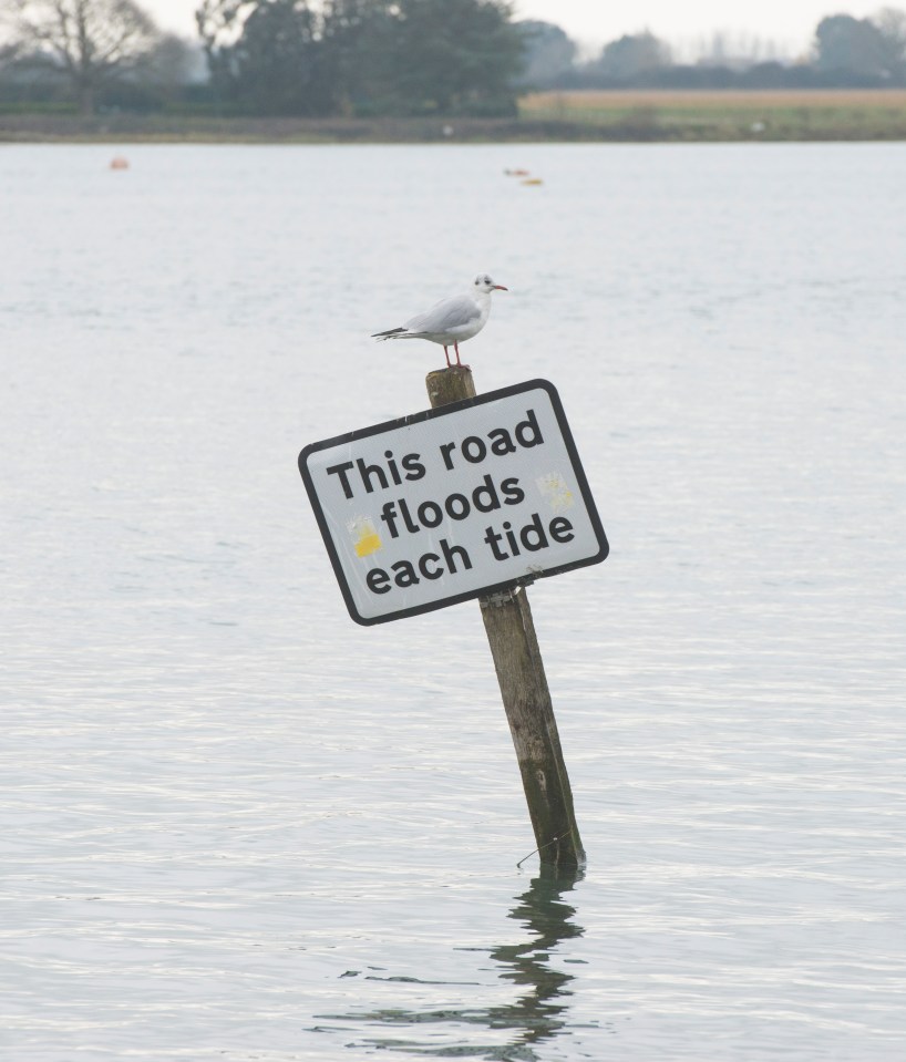 The view across Bosham Quay, showing high tide, when the road vanishes beneath feet of seawater