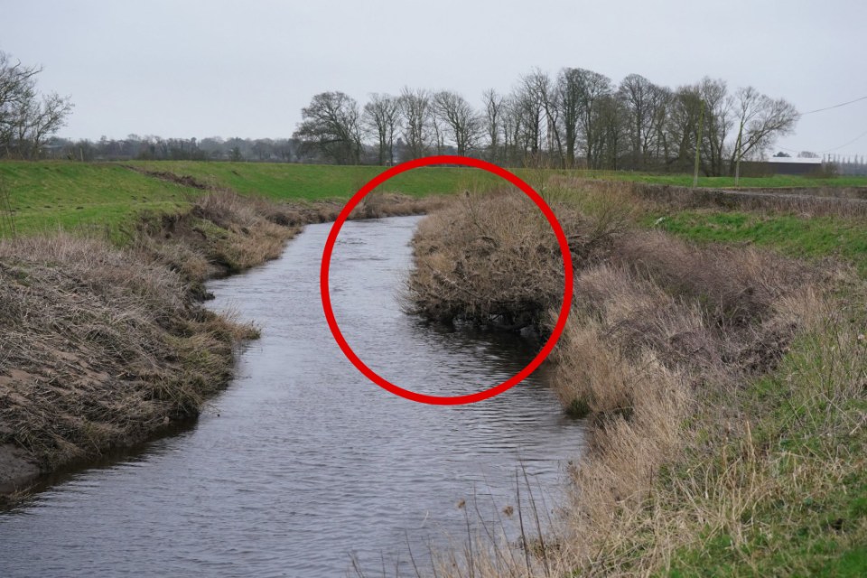 The body was said to be sitting on the river's edge in undergrowth when spotted by dog walkers