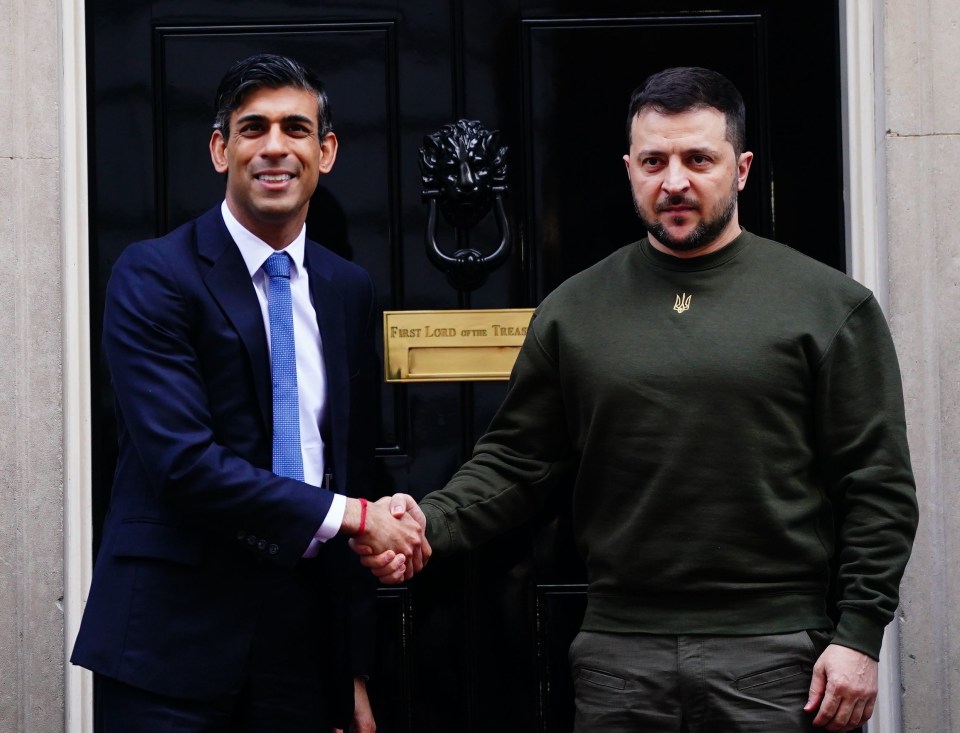 Mr Sunak and President Zelensky shook hands outside No10 before going indoors for talks