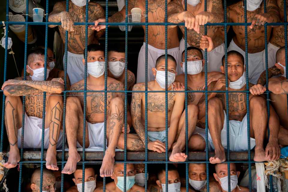 Members of the MS-13 and 18 gangs remain in an overcrowded cell