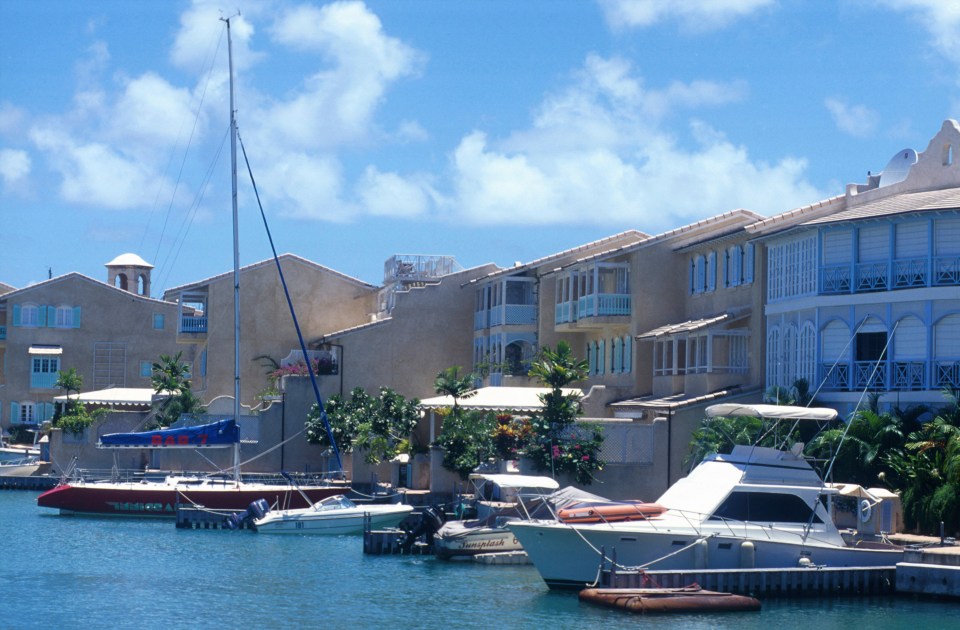 a row of boats are docked in a harbor with buildings in the background