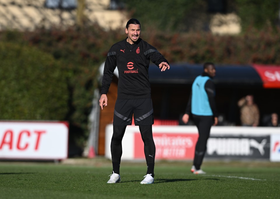 Zlatan Ibrahimovic made his return to the training pitch this week