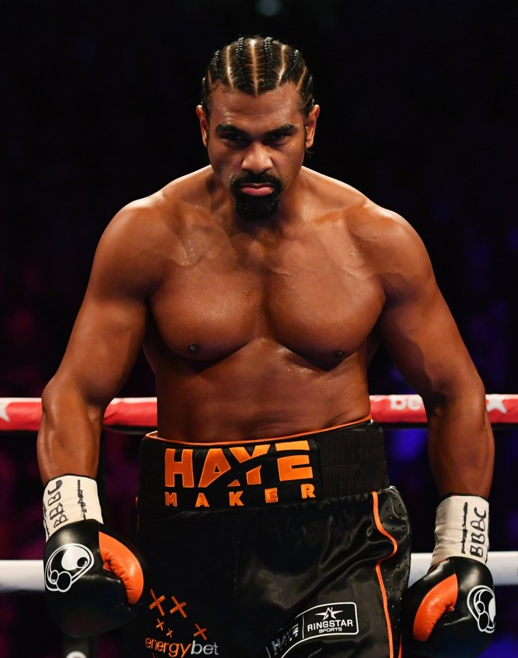 David Haye's 'Haymakers' were not chosen by Harrison